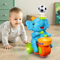 Drummer Elephant