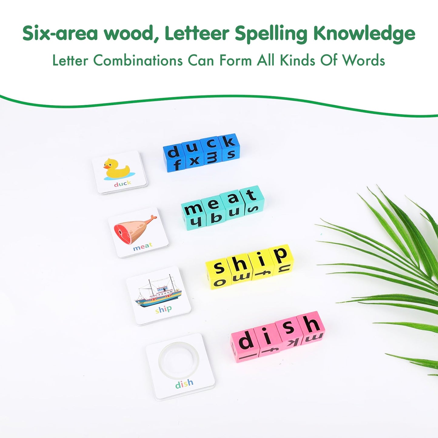 Spell & Thrive™ -  Word Wizard Challenge