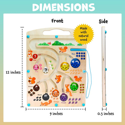 SquirrelQuest™ Magnetic Counting Maze